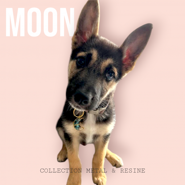 Médaille Moon – Image 3