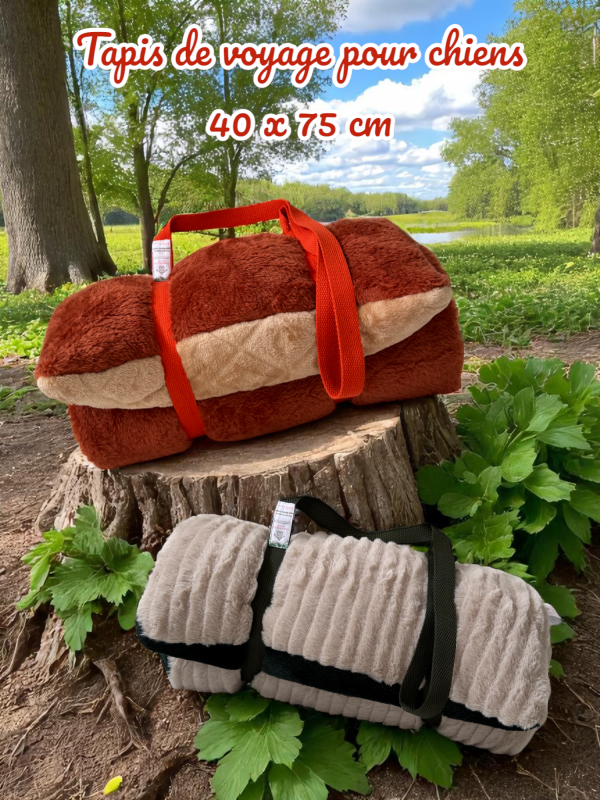 Petit tapis de voyage beige et rouille – Image 4